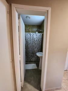 埃尔卡拉法特Hostel Danny的带淋浴和卫生间的浴室。