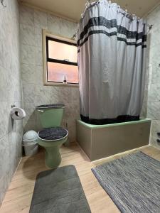 卡斯特鲁Hostal Magia Chilota的一间带绿色卫生间和淋浴的浴室