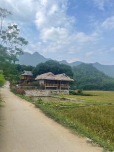 枚州县Mai Chau Hillside Homestay的山地建筑旁的土路