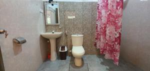 锡吉里亚SMW Lodge Sigiriya的浴室配有白色卫生间和盥洗盆。