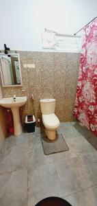 锡吉里亚SMW Lodge Sigiriya的一间带卫生间和水槽的浴室