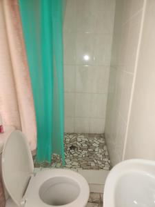 梅富根HUNTERS NEST GUEST HOUSE MAFIKENG的浴室设有卫生间和带蓝色窗帘的淋浴。