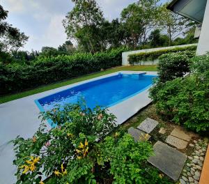 Kampong Alor GajahPrivate 4Bedroom Villa Pool,BBQ,Karaoke, Afamosa Resort的种植植物的院子内的游泳池