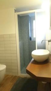 里乔内Cristina’s flat Riccione的一间带水槽和淋浴的浴室