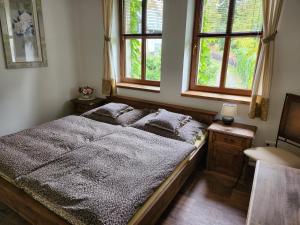 萨扎瓦Hospůdka Na Trucovně的一间卧室设有一张床和两个窗户。