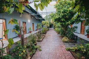 罗夷Đại Dương La Gi Homestay & Coffee的树木和植物的房屋花园走廊