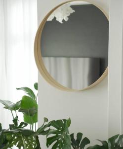 艾藻尔Sewaro Homestay, 2BHK Suite的挂在植物旁墙上的镜子