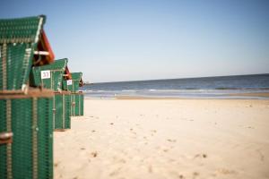 奥斯特西巴德钦诺维茨海滩珍珠酒店的海滩上的一排沙滩椅