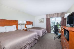 埃尔金港埃尔金港速8酒店的酒店客房设有两张床和一台平面电视。