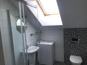 考纳斯Misko Apartaments的浴室配有卫生间、水槽和天窗。