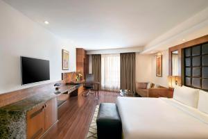 新德里德里机场丽笙世嘉酒店的带沙发和平面电视的客厅