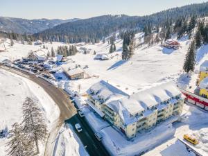 费尔德伯格Auerhuhn的雪地中度假村的空中景观