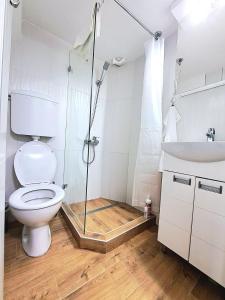 Dušanovac (historical)Mini duplex apartman的带淋浴、卫生间和盥洗盆的浴室