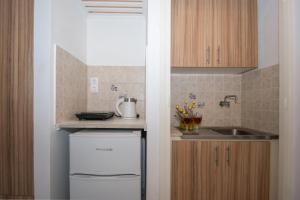 拉加纳斯Dora Studios的一间带水槽和洗碗机的小厨房