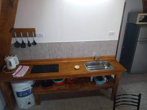 圣奥古斯汀镇Amancay Cabaña alpina en Valle Fértil的柜台旁带水槽的厨房台面