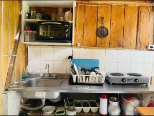 贾丁Cabaña y temazcal Mastai的厨房柜台设有水槽和微波炉