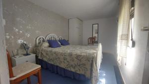 罗塔Finca Las Dunas con dos Chalets con jacuzzis en primera linea de playa uno de 4 dormitorios y otro de 2 dormitorios的一间卧室配有一张带蓝色枕头的床。