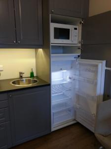 霍芬迪玛一室公寓公寓式酒店的厨房配有带微波炉的开放式冰箱