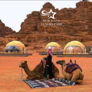 瓦迪拉姆RUM ATANA lUXURY CAMP的站在沙漠里三个骆驼旁边的一个女人