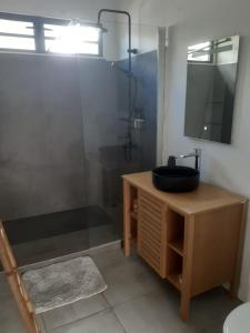 帕佩托艾Tiny House Moorea Hinavai的浴室配有盥洗盆和带镜子的淋浴