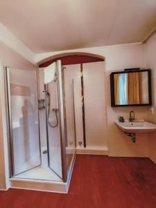 纽伦堡City Hotel Bauer mit Aufzug with elevator的带淋浴和盥洗盆的浴室