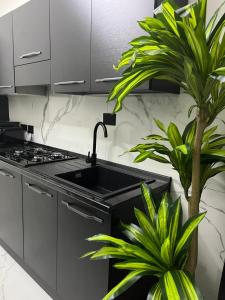 佛罗伦萨Suites - ghibellina 92的厨房配有水槽和2种植物