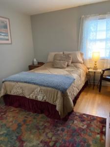 ChesterfieldCaribbean Comfort Zone的一间卧室配有一张床、一张桌子和一个窗户。