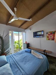 Mano JuanSaona lodge的一间卧室配有蓝色的床和一台平面电视