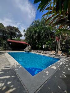 阿拉胡埃拉Brillasol Airport Hotel的度假村内的一个蓝色海水游泳池