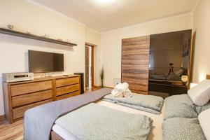 希欧福克Victoria Suites的一间卧室配有一张床、一台电视和一张沙发