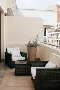 布宜诺斯艾利斯Blank Hotel Recoleta的一个带柳条椅和盆栽的庭院