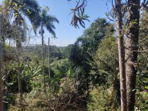 科蒂亚Chácara 4 Ases J R的享有丛林美景。
