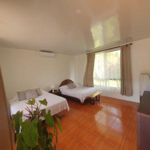 福尔图纳Lumbres Arenal的客房设有两张床和窗户。
