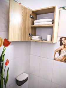 Kỳ VĩTruong Yen Hotel Ninh Binh的浴室设有橱柜,并有一张女人的照片
