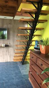乌斯怀亚Dream Landscape的一个带梳妆台的房间的木楼梯