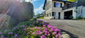Saulxures-sur-Moselotteplain-pied proche base de loisirs et voie verte的街道边的紫色花房