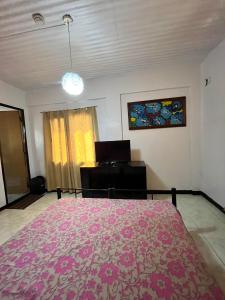 达斯马里尼亚斯Aladino Hostel的卧室配有粉红色的床和书桌