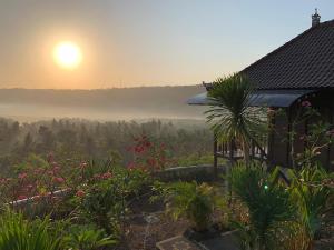 蓝梦岛Poh Manis Lembongan的阳光照耀着鲜花的田野的房子