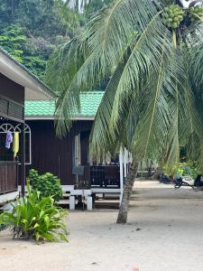 Kampong Pasir HantuMama's Chalet Pulau Perhentian Besar的棕榈树在房子前面,有长凳