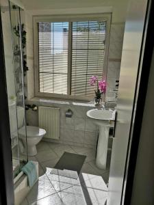 俄斯特拉发ZLATÁ-ÉRA的一间带水槽和卫生间的浴室以及窗户。