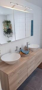 安特卫普LodgeRivierenhof的一间带两个盥洗盆和大镜子的浴室
