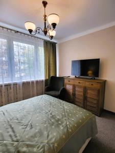 桑多梅日Apartament przy Parku Saskim (600 metrów od Ratusza)的一间卧室配有一张床、一台电视和一把椅子
