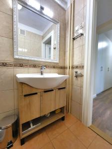 桑多梅日Apartament przy Parku Saskim (600 metrów od Ratusza)的一间带水槽和镜子的浴室