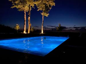安蓓Le Stefanshof的蓝色的游泳池,在晚上有树木,背景