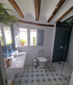 卡索拉CASITA CAZORLA的浴室配有卫生间、盥洗盆和淋浴。