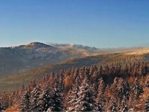 诺伊舍瑙贝佳斯霍夫鲁森酒店的享有高山的空中景色,山中被雪覆盖的树木覆盖