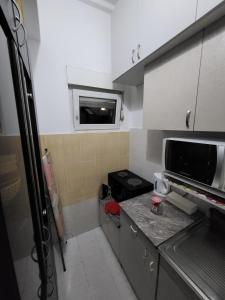 贝尔格莱德Kod Vuka的一间带柜台和微波炉的小厨房