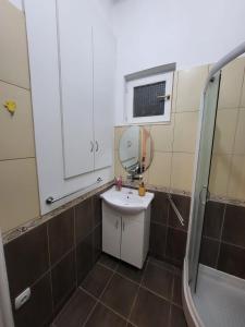 贝尔格莱德Kod Vuka的一间带水槽、镜子和淋浴的浴室
