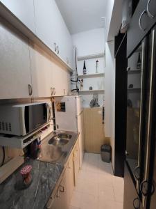 贝尔格莱德Kod Vuka的一间带水槽和微波炉的小厨房