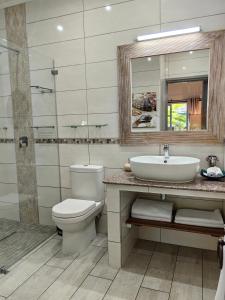 留尼汪海岛魅力别墅的一间带卫生间、水槽和镜子的浴室